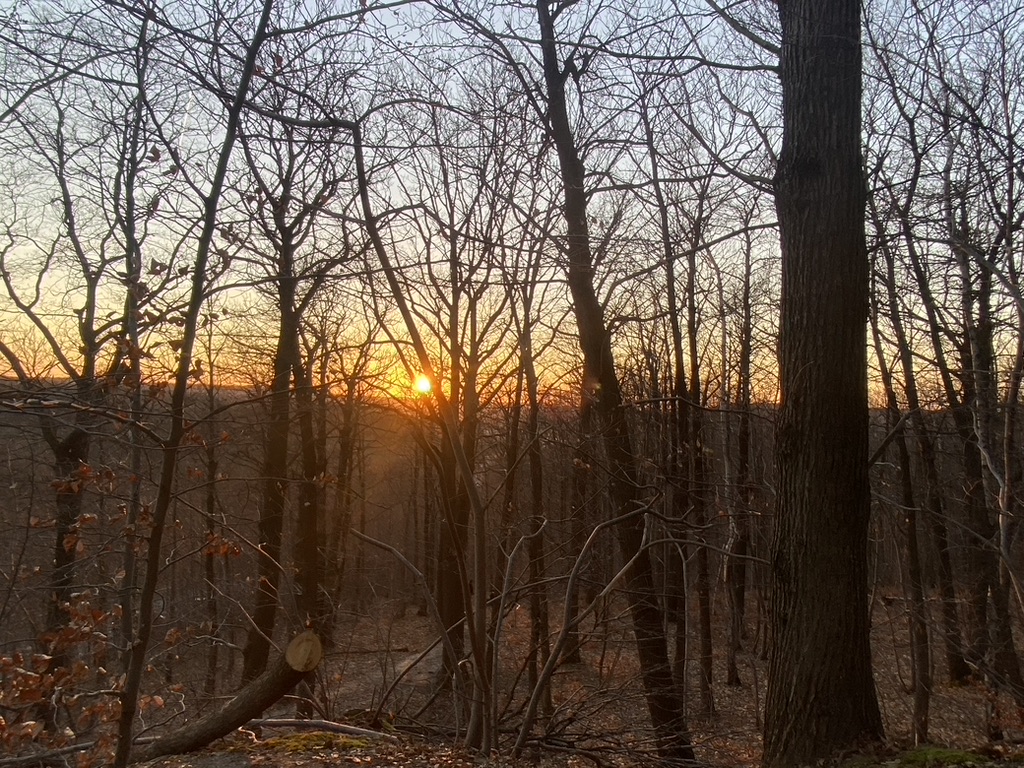 Nature 3